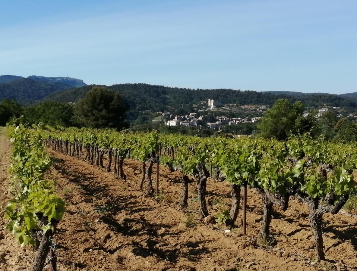 Au Villadior - Vaison La Romaine Vaison-la-Romaine Exterior foto